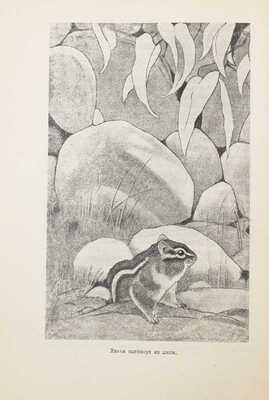 Робертс Ч. Маленький ушан / Пер. с англ. М. Волошиновой; обл. работы худож. Д. Митрохина. М.; Пг.: Госиздат, 1923.